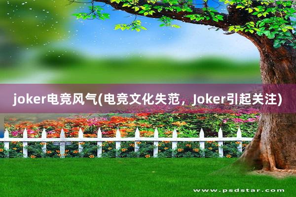 joker电竞风气(电竞文化失范，Joker引起关注)