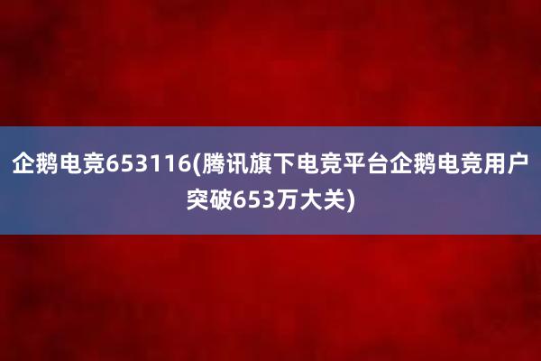 企鹅电竞653116(腾讯旗下电竞平台企鹅电竞用户突破653万大关)