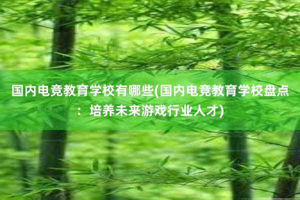 国内电竞教育学校有哪些(国内电竞教育学校盘点：培养未来游戏行业人才)