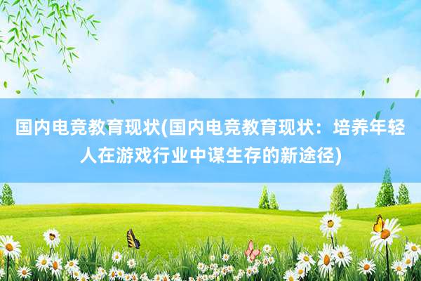 国内电竞教育现状(国内电竞教育现状：培养年轻人在游戏行业中谋生存的新途径)