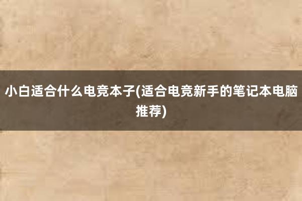 小白适合什么电竞本子(适合电竞新手的笔记本电脑推荐)