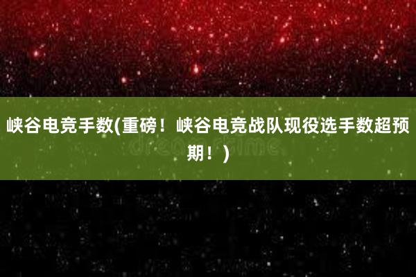 峡谷电竞手数(重磅！峡谷电竞战队现役选手数超预期！)