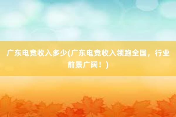 广东电竞收入多少(广东电竞收入领跑全国，行业前景广阔！)