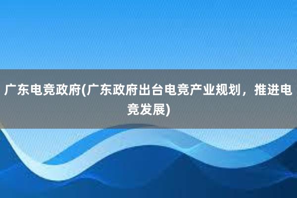 广东电竞政府(广东政府出台电竞产业规划，推进电竞发展)