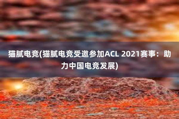 猫腻电竞(猫腻电竞受邀参加ACL 2021赛事：助力中国电竞发展)