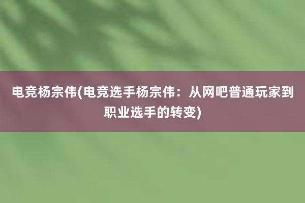 电竞杨宗伟(电竞选手杨宗伟：从网吧普通玩家到职业选手的转变)