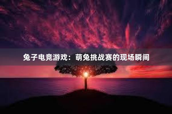 兔子电竞游戏：萌兔挑战赛的现场瞬间