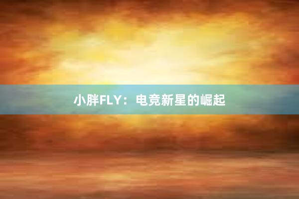 小胖FLY：电竞新星的崛起