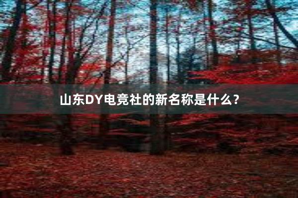 山东DY电竞社的新名称是什么？