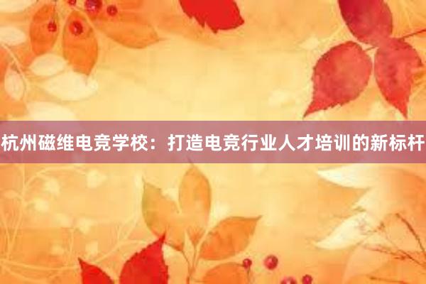 杭州磁维电竞学校：打造电竞行业人才培训的新标杆