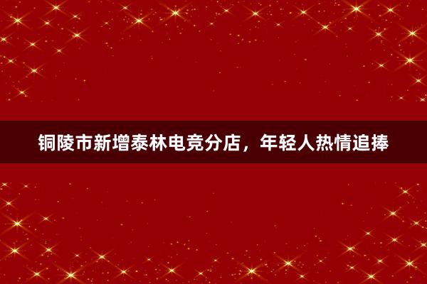 铜陵市新增泰林电竞分店，年轻人热情追捧