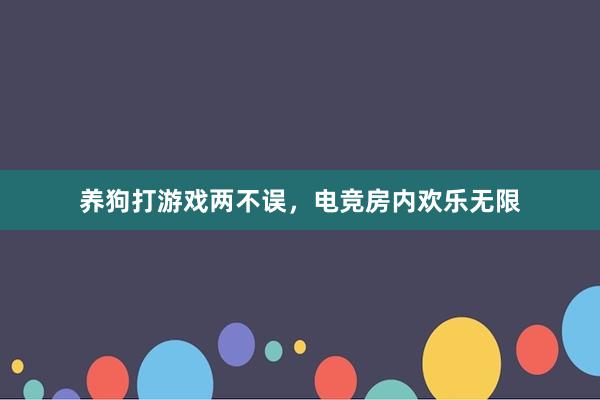 养狗打游戏两不误，电竞房内欢乐无限