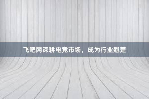 飞吧网深耕电竞市场，成为行业翘楚